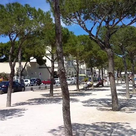 Eden Roc Allee Louis Benet Appartement La Ciotat